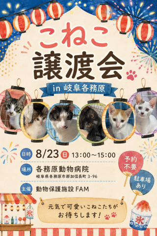 こねこ譲渡会in岐阜各務原