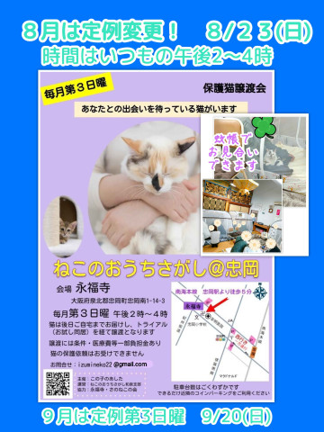 大阪・忠岡｜蚊帳で保護猫とふれあえる譲渡会