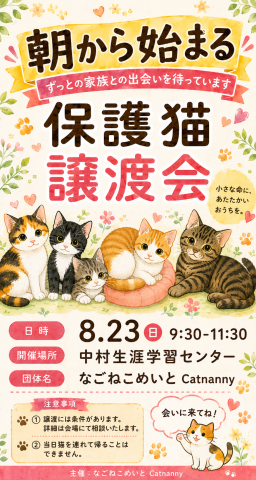 朝から始まる猫の譲渡会