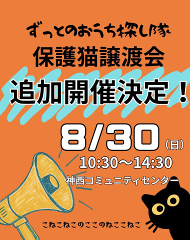 🐾保護ねこ　譲渡会　in島根🐾