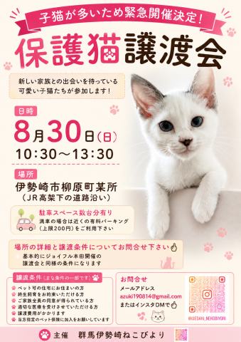 ねこびより保護猫譲渡会