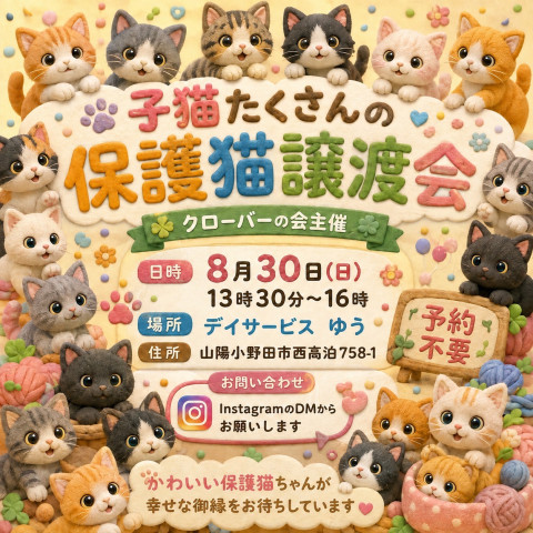 クローバーの会保護猫譲渡会