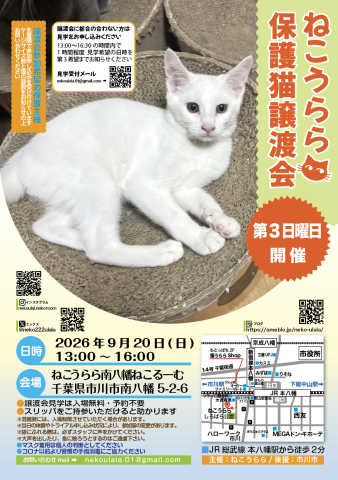 ねこうらら 保護猫譲渡会