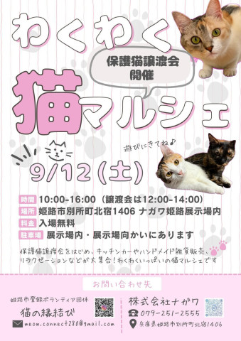 わくわく猫マルシェ