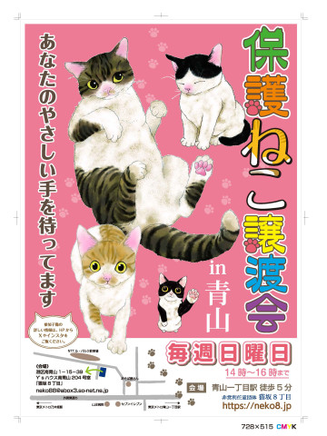保護ねこ譲渡会 in 青山