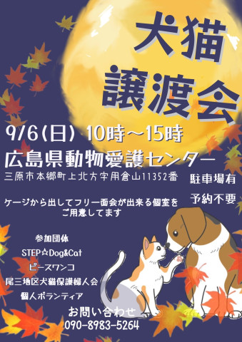 いぬねこ譲渡会