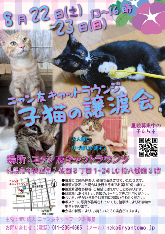 【札幌】ニャン友キャットラウンジ譲渡会〈8/8・15・16〉