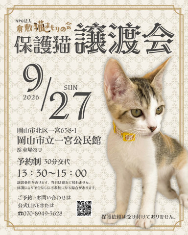 保護猫譲渡会（予約制）