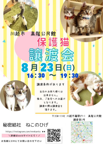 秘密結社ねこのひげ♡保護猫譲渡会