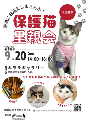 京田辺市：保護猫の里親会（譲渡会）