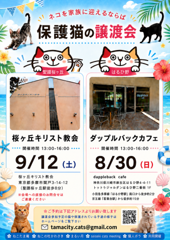 川崎市麻生区はるひ野にて保護猫譲渡会開催