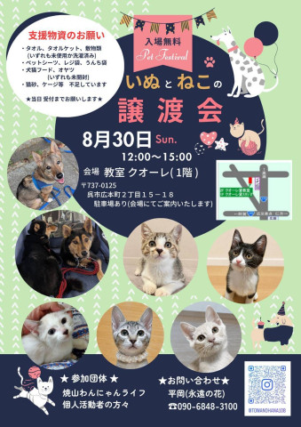 いぬとねこの譲渡会