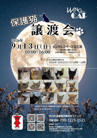 市川市地域猫活動団体ウイング譲渡会
