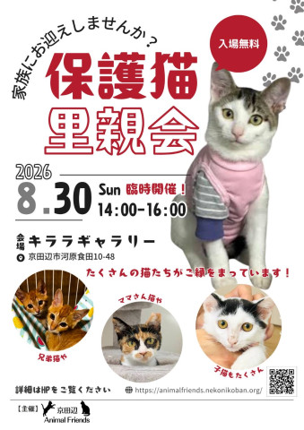 臨時開催決定！京田辺市：保護猫の里親会（譲渡会）