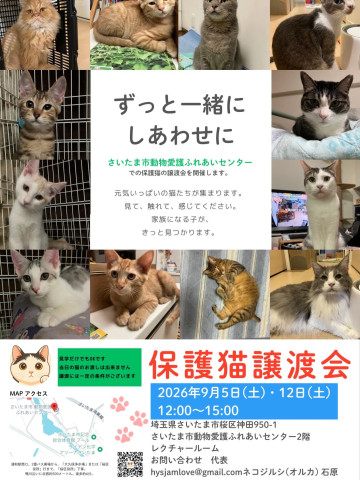 保護猫譲渡会inさいたま市