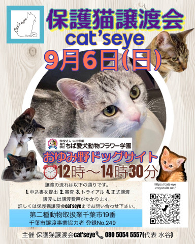 保護猫譲渡会Cat'seye