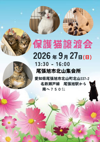 保護猫譲渡会