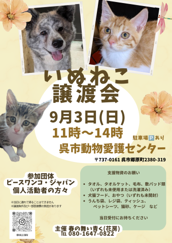 いぬねこ譲渡会