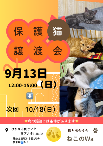 ねこのWa譲渡会　静岡市葵区