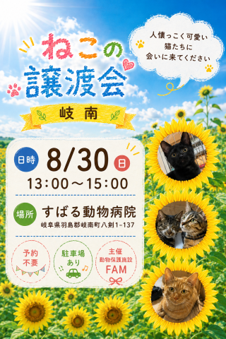 ねこの譲渡会in岐阜