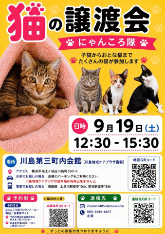 猫の譲渡会　by にゃんころ隊 9/19