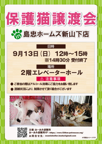 おーあみ避難所譲渡会in新山下