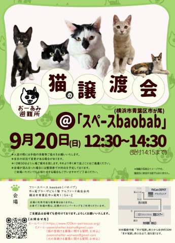 おーあみ避難所譲渡会in市ヶ尾