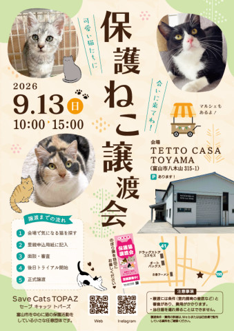 Save Cats TOPAZ 保護猫譲渡会