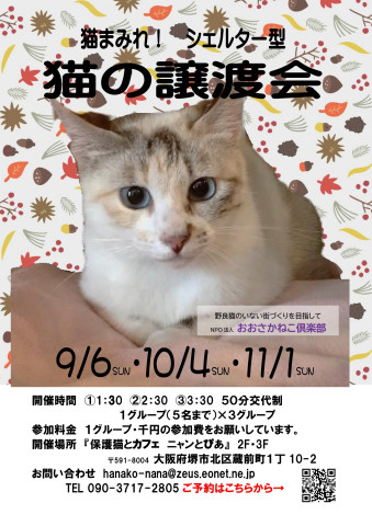 　オープンシエルター型　譲渡会
