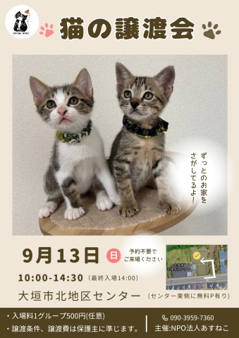 猫の譲渡会を開催します