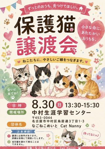 猫の譲渡会in名古屋