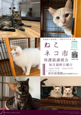 ねこネコ市