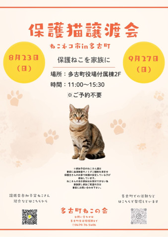 ねこネコ市in多古町