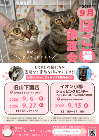 NPO法人さくらねこサポートOGOR Iほご猫譲渡会