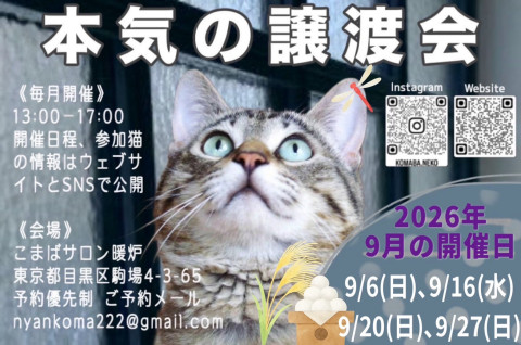 本気の譲渡会