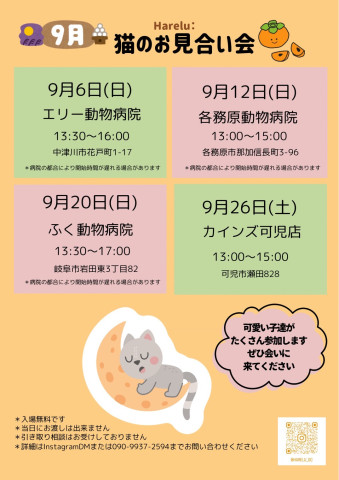 保護猫譲渡会