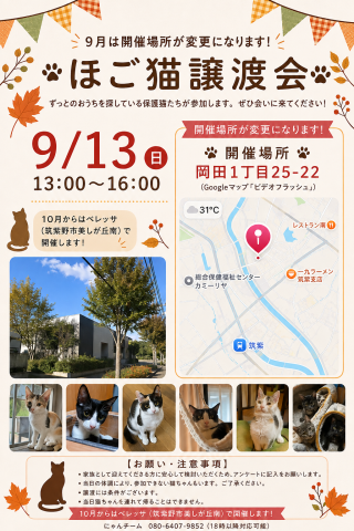 ほご猫譲渡会
