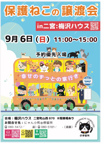 保護猫譲渡会in二宮町：梅沢ハウス