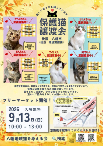 保護猫譲渡会🐾八幡地域猫を考える会
