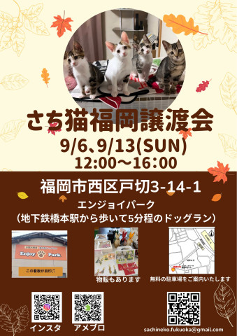 さち猫福岡譲渡会　エンジョイパーク（はっぴいすまいる）