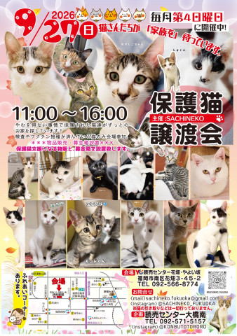 さち猫福岡譲渡会　読売センター花畑・やよい坂
