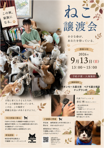 ねこ譲渡会