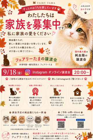 【純血猫50頭以上】フェアリーたまの譲渡会