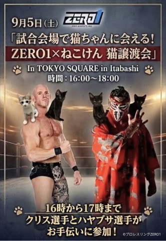 ZERO1×ねこけん　猫譲渡会