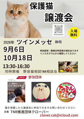 保護猫譲渡会ツインメッセ静岡