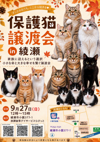 保護猫譲渡会
