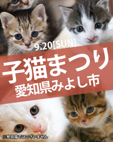 子猫まつり第7弾★みよし市