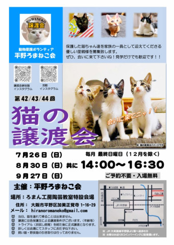 第44回 平野ろまねこ譲渡会