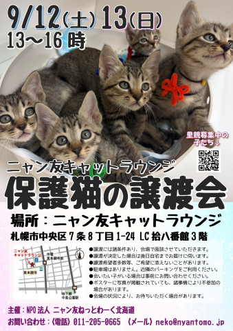 【札幌】ニャン友キャットラウンジ譲渡会〈9/12-13〉