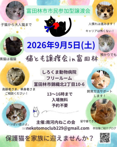 猫とも譲渡会in富田林